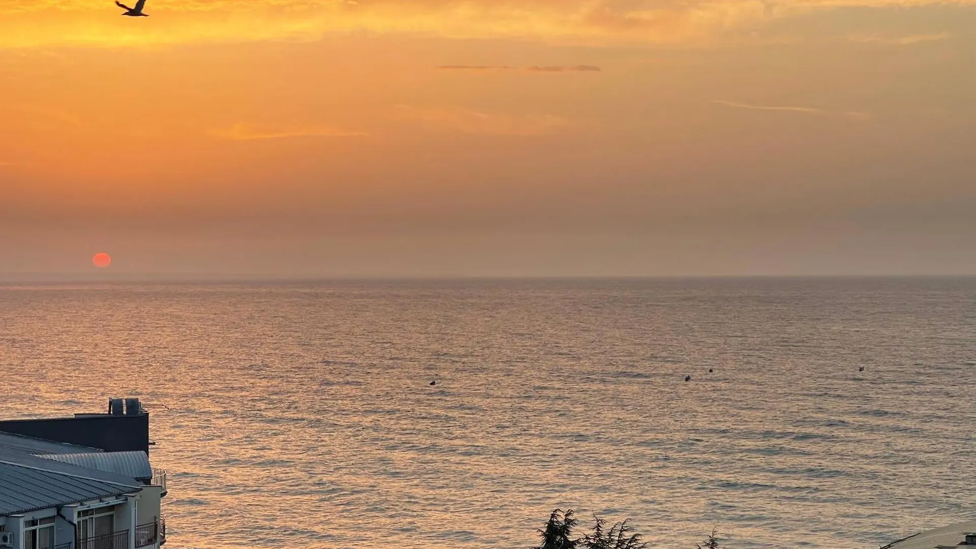 شقة Spacious Seaview Apartments, 100M To The Beach غولدن ساندز